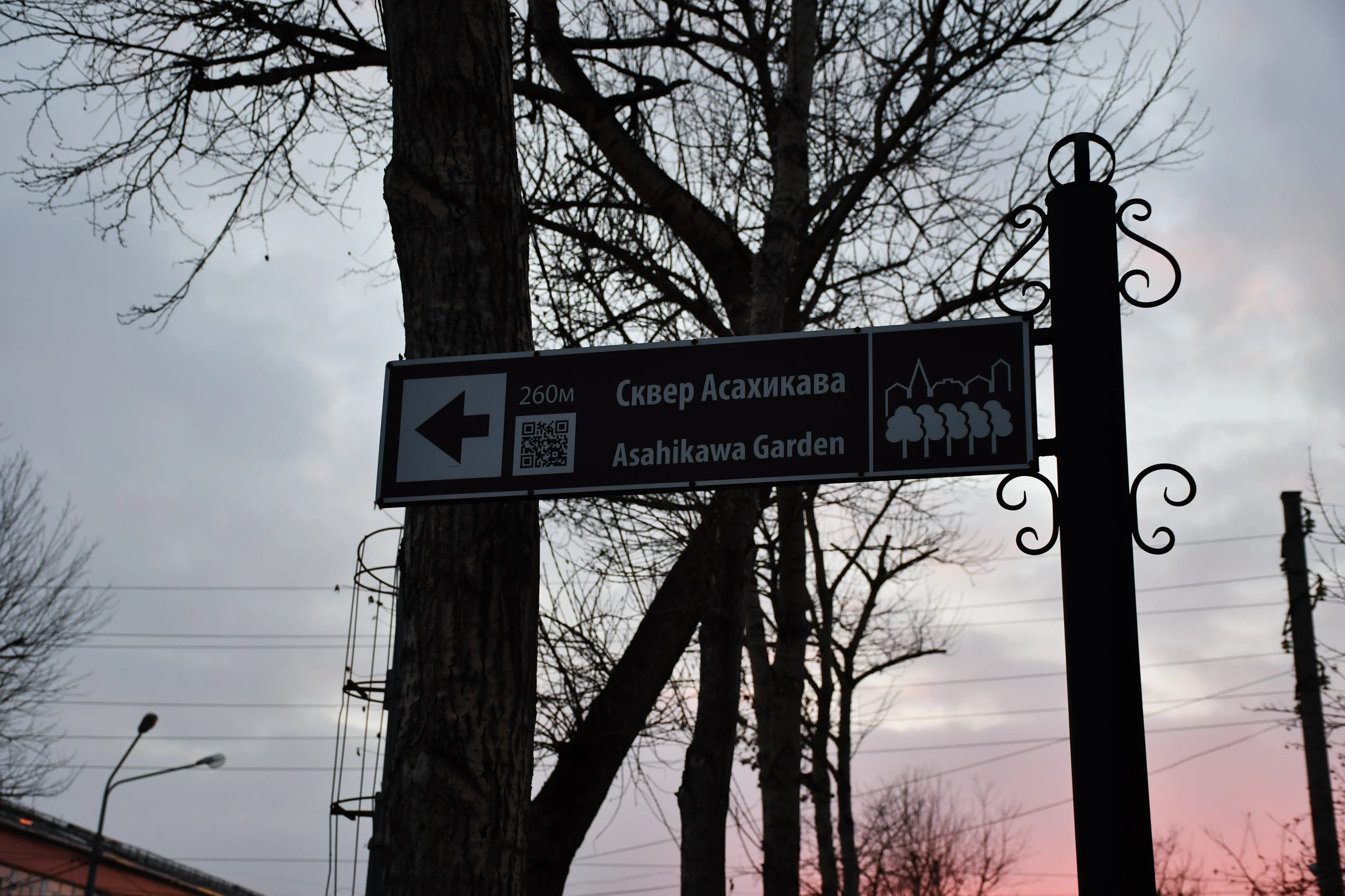 For Asahikawa garden