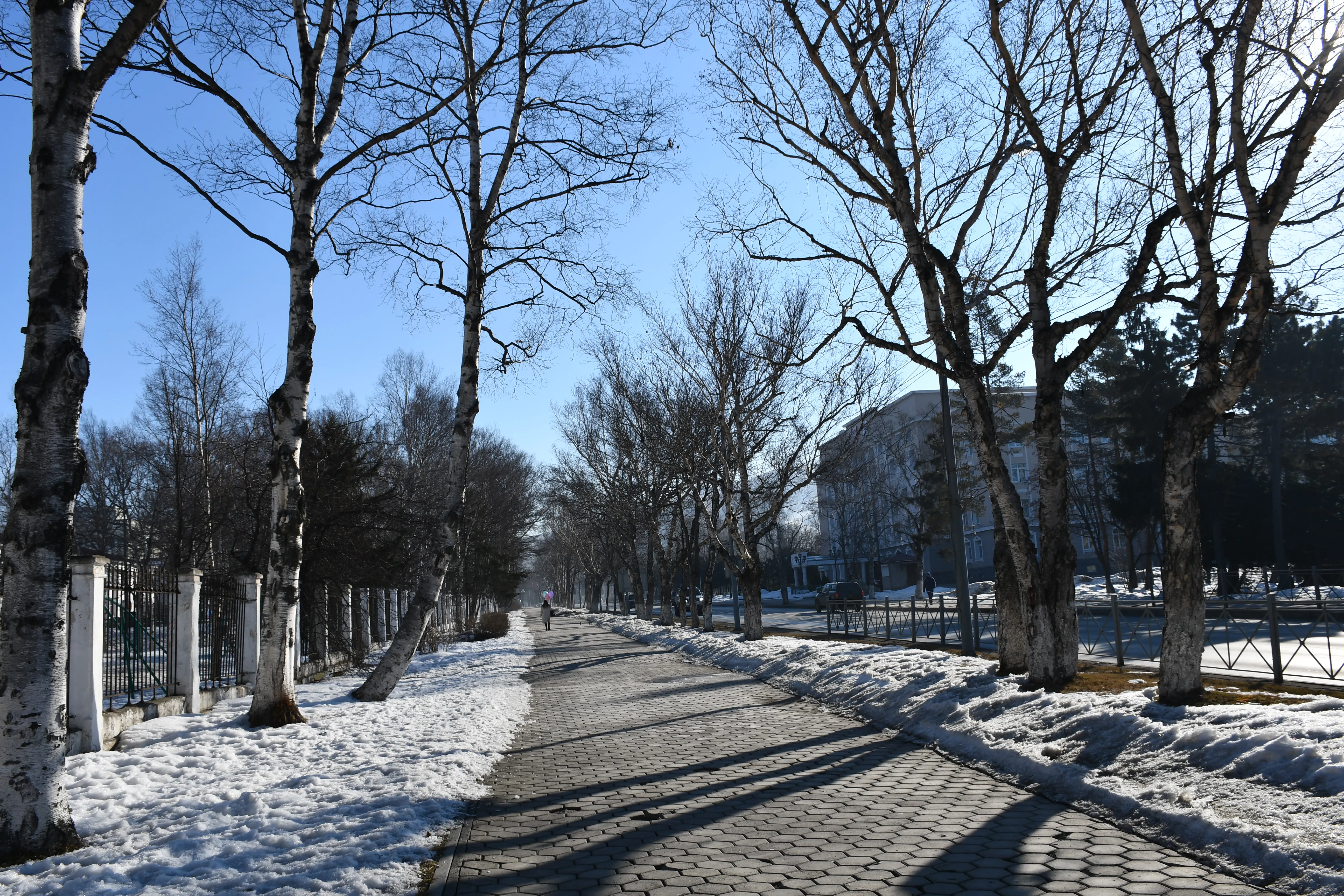 Street